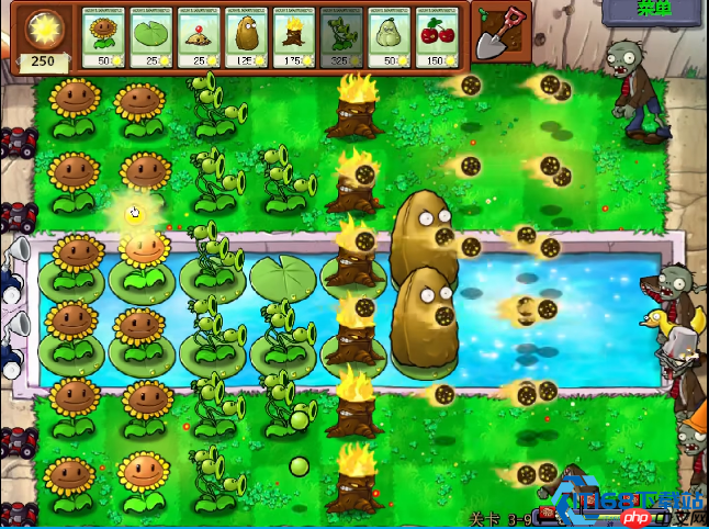 植物大战僵尸关卡通关终极攻略：从开局到后期的完美战术指南
