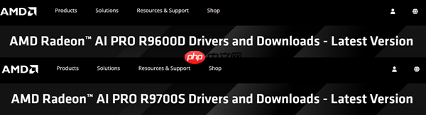 AMD RDNA 4显卡还有新品!Radeon AI PRO R9700S、R9600D已现身