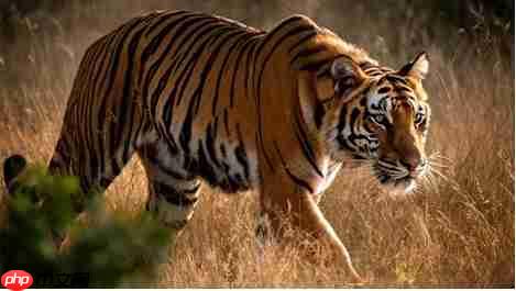 FLUX.2 图像生成模型发布 针对 NVIDIA RTX GPU 优化