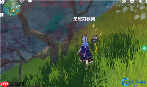 弩丘丘人宝箱解谜终极指南:元素视野与风之种技巧大揭秘