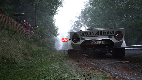 《神力科莎:拉力》耕升 RTX 5060 Ti 16GB 踏雪X3 OC硬核拉力体验