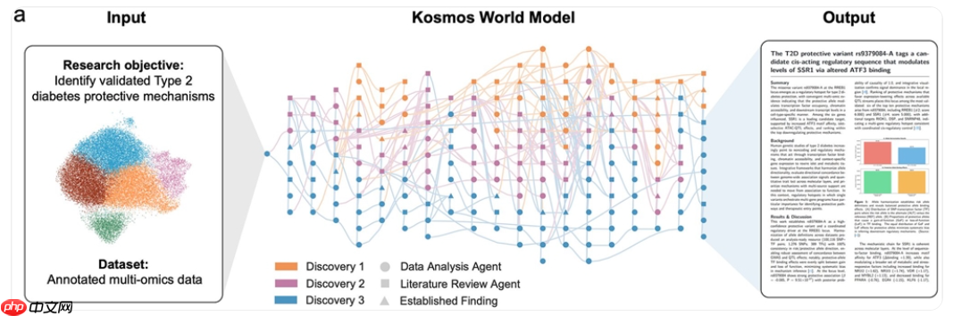 AI“超级科学家”Kosmos 问世:12 小时完成人类半年科研量