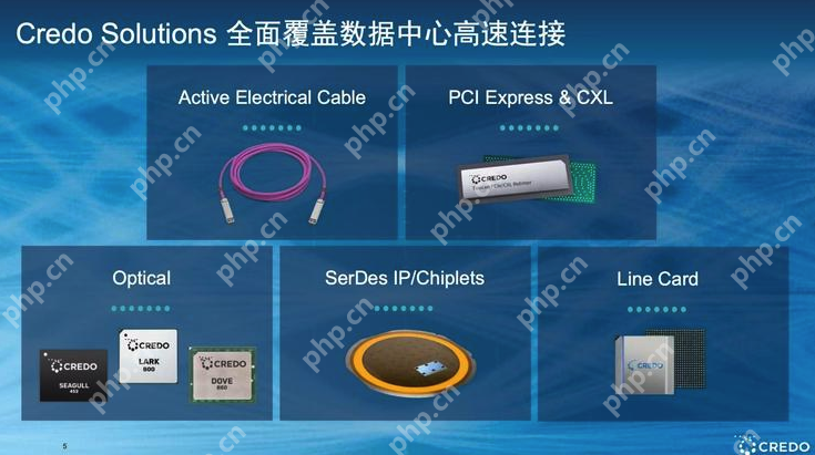 破解AI集群“运力”瓶颈,Credo发布全球首款3nm 1.6T DSP芯片 - php中文网