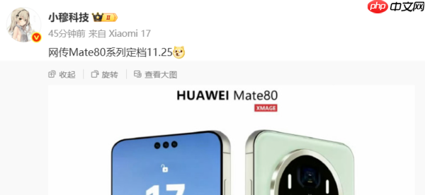 11月25日发布？华为Mate 80外观图曝光：大圆模组设计