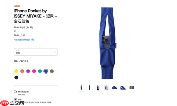 iPhone Pocket发布!网友:纯割韭菜