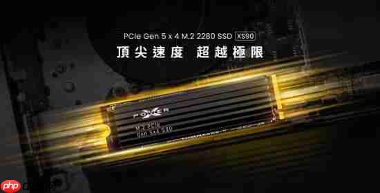 广颖电通最快固态硬盘XPOWER XS90发布:6nm主控 最大读取速率14.3GB/s