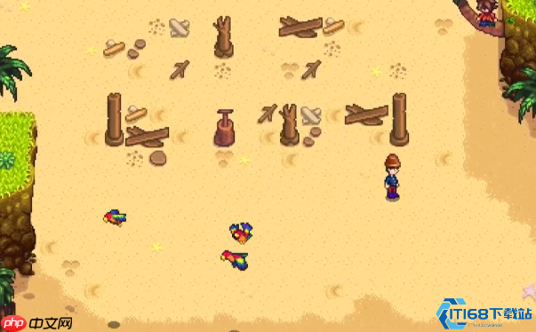 星露谷物语烘干机完全指南：最大化你的工匠收益