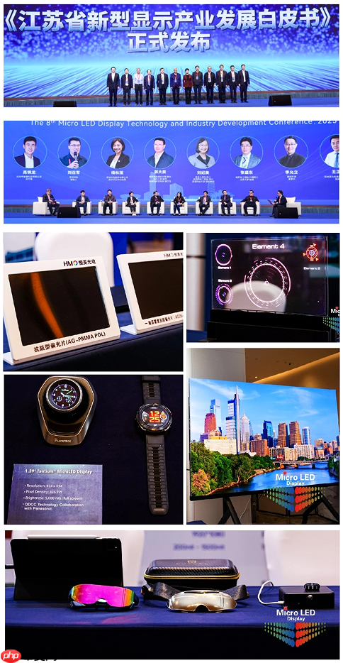 2025第八届MicroLED显示技术和产业发展大会圆满闭幕