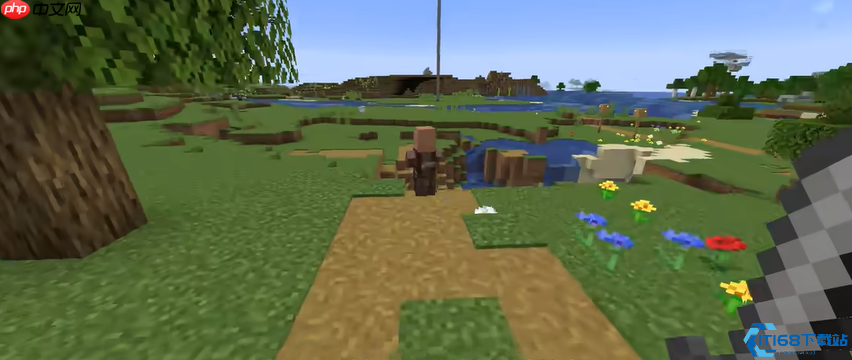 驯服村民有妙招：打造高效运转的村庄秘籍