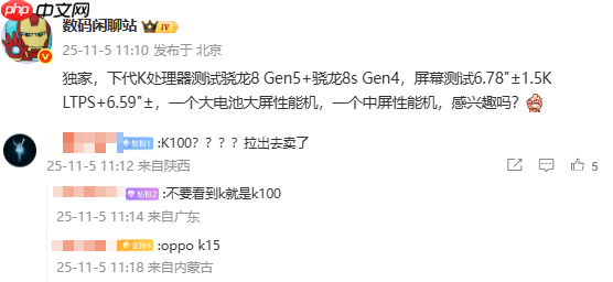 疑似OPPO K15系列配置曝光:1.5K屏+第五代骁龙8