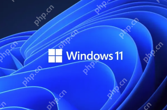 Win11第三方工具Flyoobe遭黑客篡改:伪造官网植入木马 - php中文网