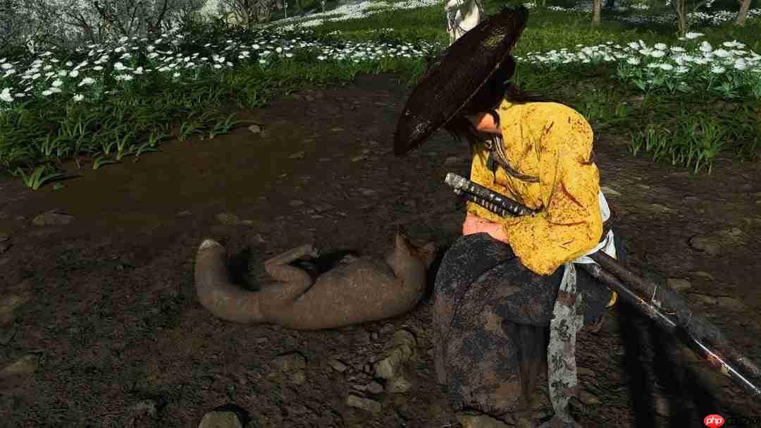 《羊蹄山之魂》三池模式受玩家欢迎 但存在一大缺点