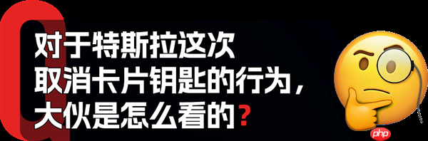 特斯拉要取消车钥匙 业内人士竟然觉得不离谱