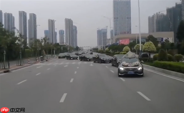 十多辆婚车公路上组队“蛇形”占道 交警:已传唤全部驾驶员