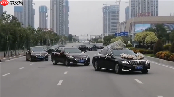十多辆婚车公路上组队“蛇形”占道 交警:已传唤全部驾驶员