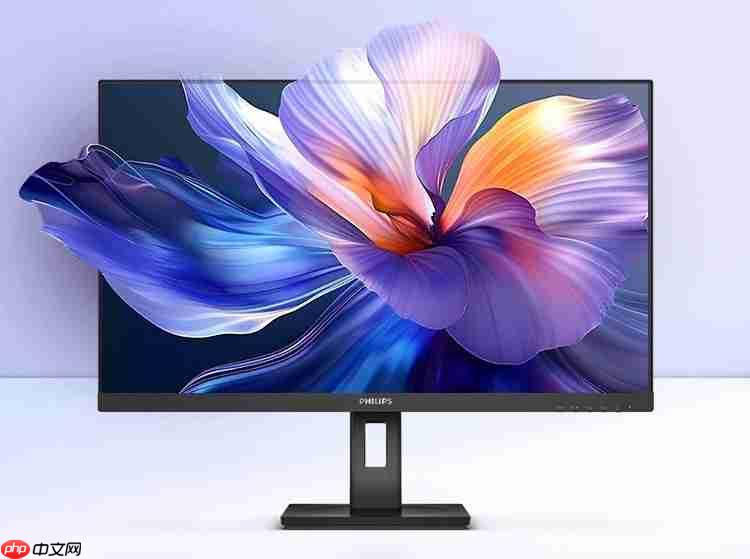 双·11开门红嗨购全场,飞利浦商用显示器京东自营旗舰店惠不可挡!