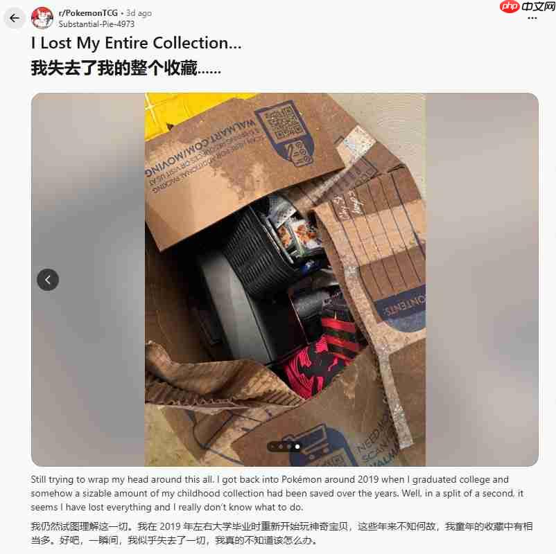 倒霉网友万元宝可梦卡牌被淹 保险理赔仅