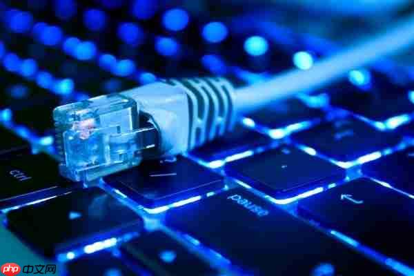 世界第一!我国ipv6活跃用户数达8.65亿