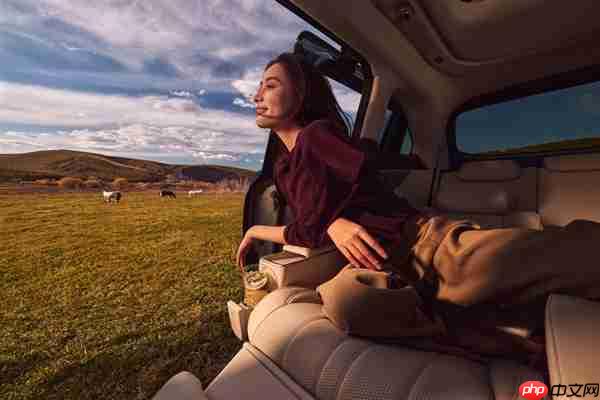 配60升大油箱 小鹏X9增程版内饰公开:全车用4.2米进口真木