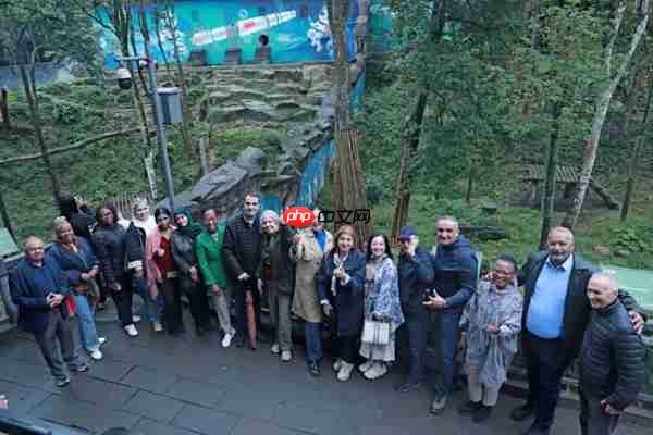 “国际朋友圈”扩容!11国驻华大使为雨城点赞 ——“‘一带一路’乡村振兴·文化交融”驻华大使走进雨城区公益交流活动侧记