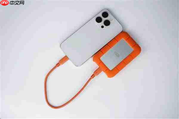 支持雷电5！希捷LaCie Ruggged SSD4 1TB固态硬盘图赏