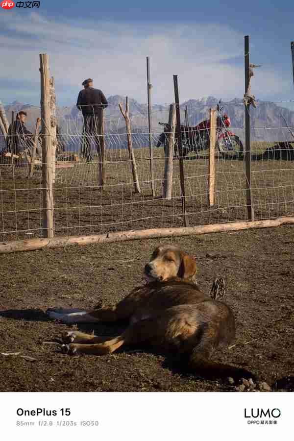 一加哈苏合作结束:一加15首次搭载OPPO LUMO凝光影像