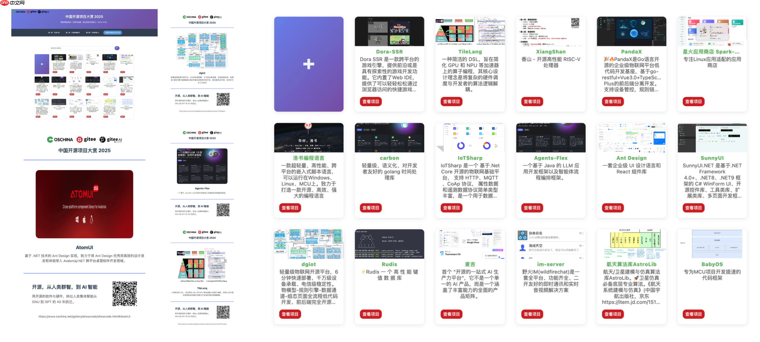 来,秀出你的开源活力!中国开源项目大赏 2025 上线
