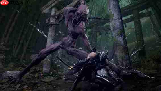 龙哥被垫了?粉丝不满《忍者龙剑传4》中隼龙戏份过少!