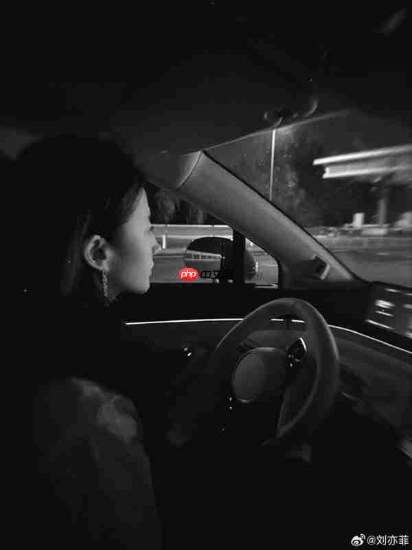 刘亦菲开智界R7国庆自驾游 白衬衫黑吊带松弛感拉满