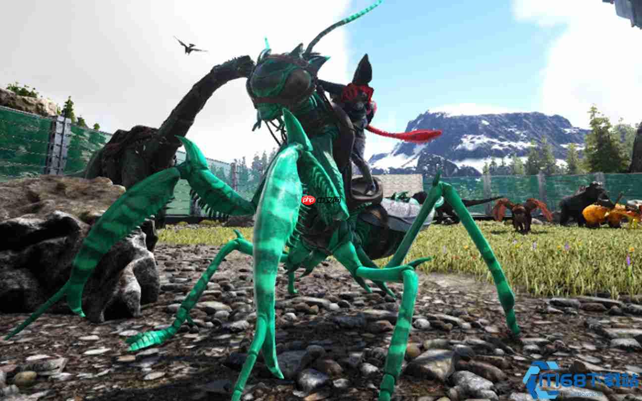 螳螂和平驯服大师课：零战斗收服沙漠巨刃使者