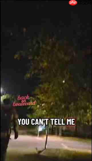 跨国催更! 魔怔粉丝骚扰R星工作人员逼问GTA6情况