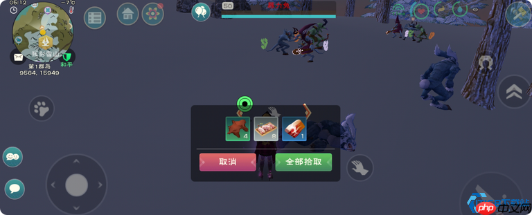 稀有肉全面解析：高级宠物养成与高效获取指南