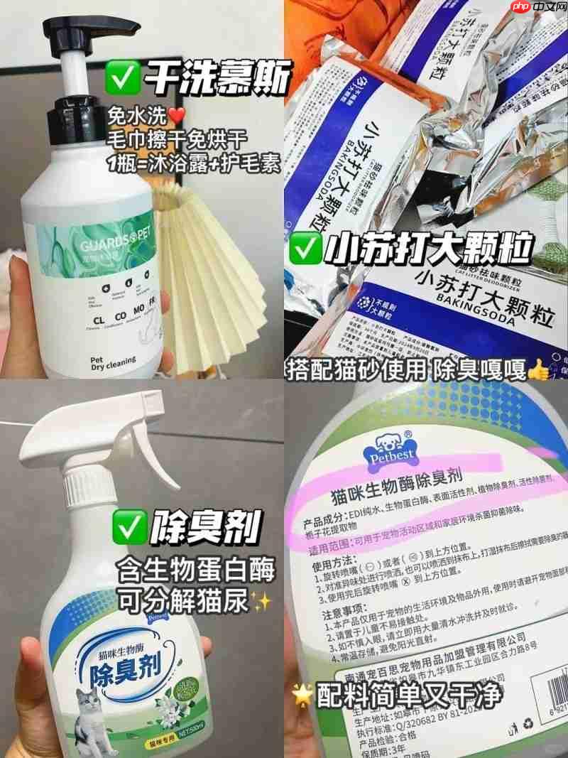 过敏性鼻炎总反复？选对除螨方法+ 工具，鼻子终于不遭罪