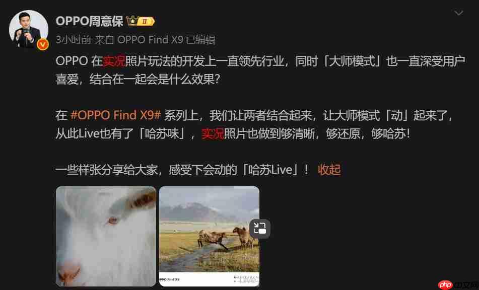 OPPO Find X9 Pro曝光：1.5K直屏+极窄四等边设计