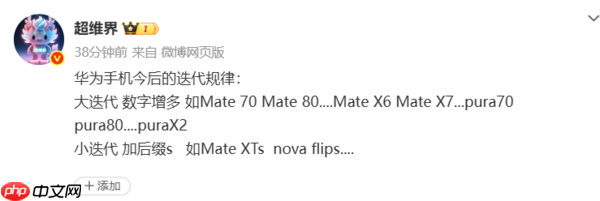 华为手机迭代规律曝光:大迭代数字递增 小迭代后缀s