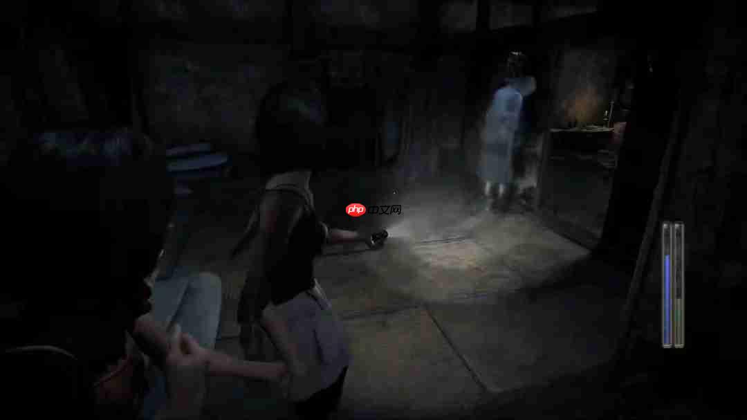 《零红蝶:重制版》新实机演示 姐妹牵手探索