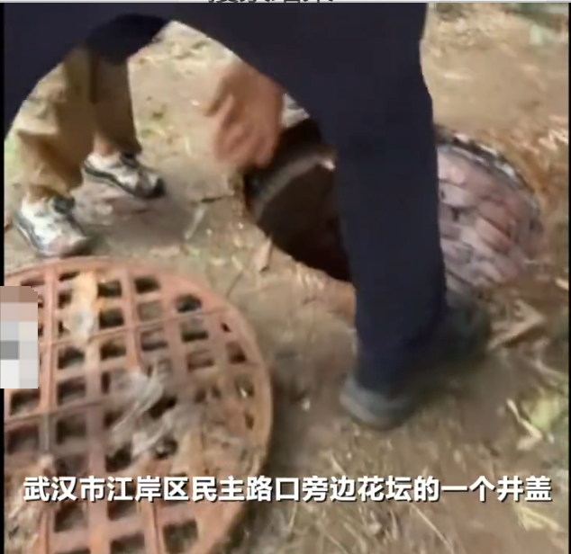 武汉一男童踩翻井盖坠下水道被父亲救起是怎么回事？详情介绍