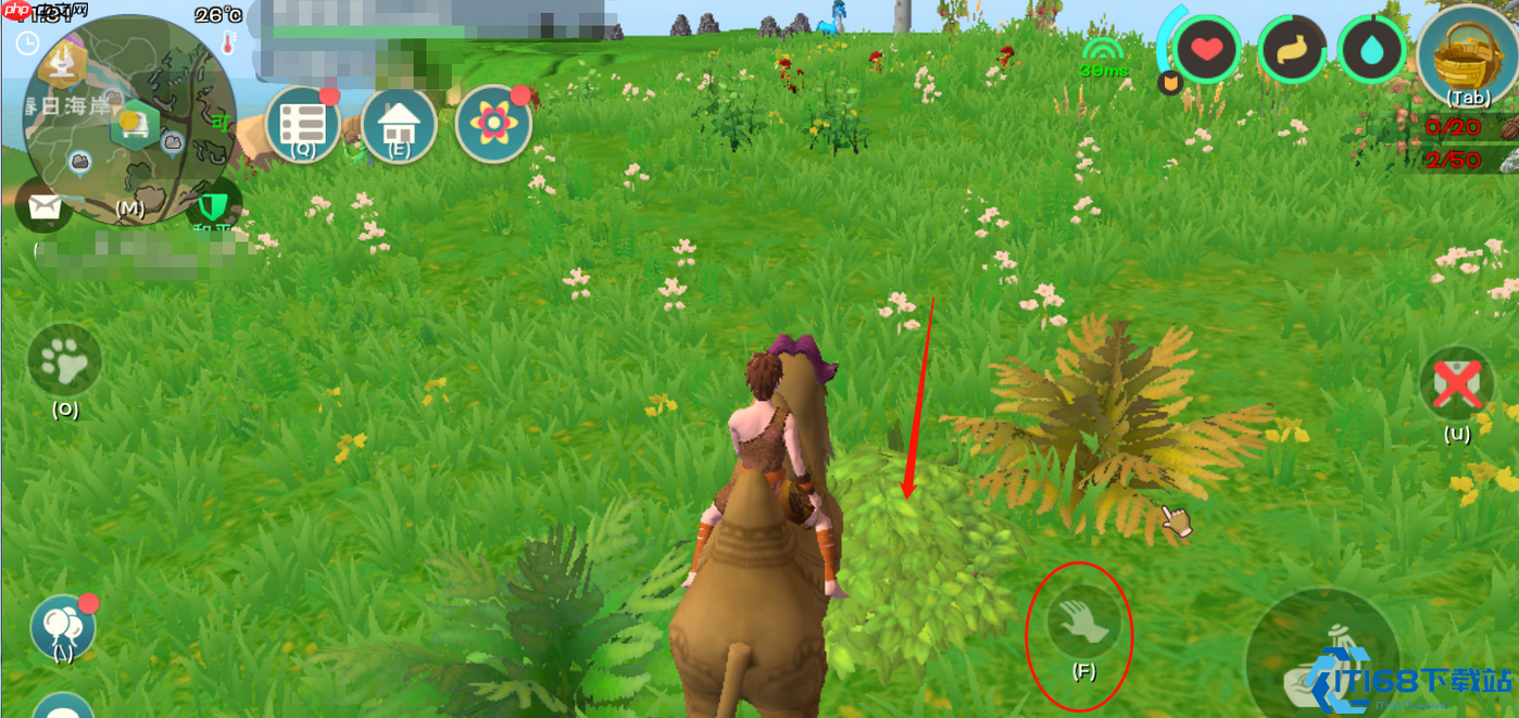 编织筐牧场物语:你的田园资源永动机