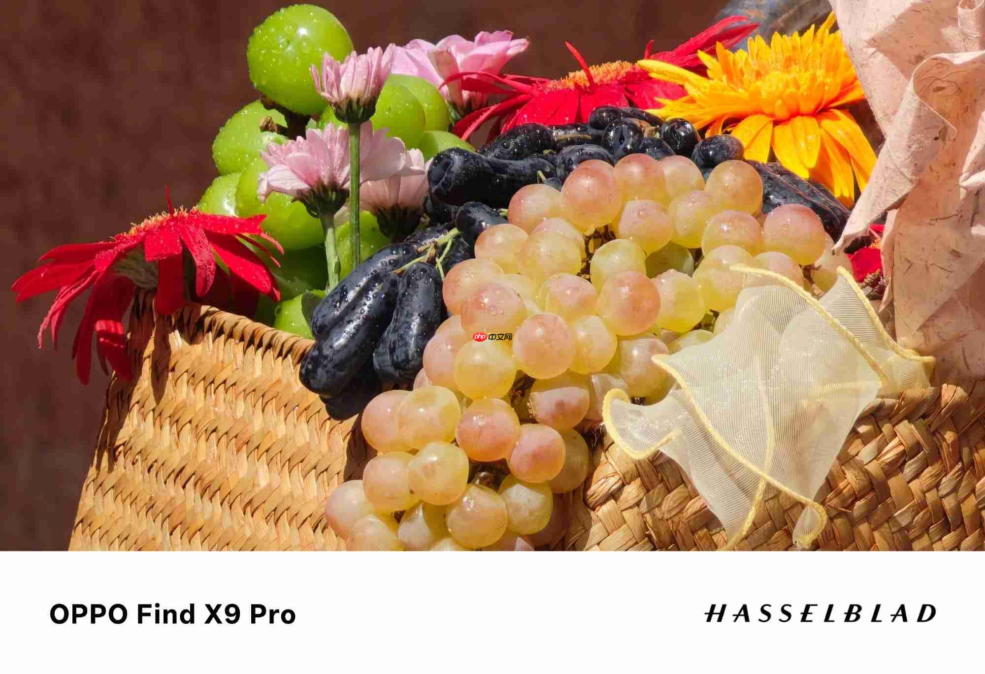 丹霞镜头+哈苏真2亿!OPPO Find X9系列影像实力再进阶