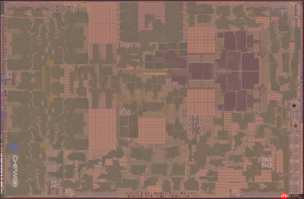 苹果 A19 芯片内部特写:架构微调带来能效提升