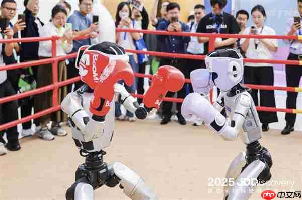 机器人叠衣、对话、踢足球 京东JDD大会上演“AI生活总动员”