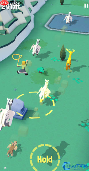 龙鹰捕捉大师课：从领地建设到空中征服终极指南