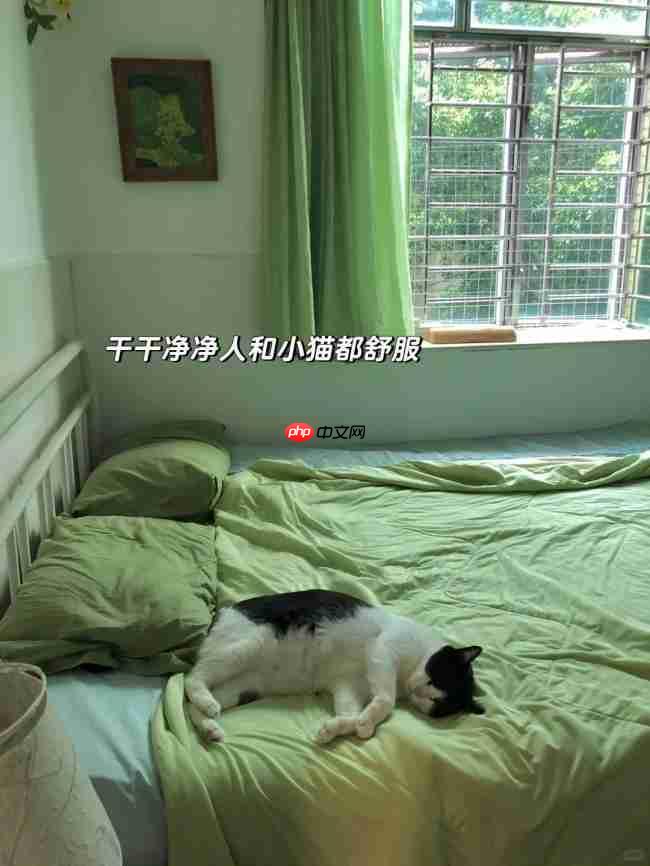 养宠家庭必看：除螨仪到底要不要买？多久用一次？友望大白Ultra给答案