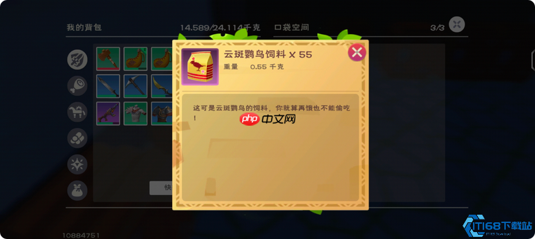 轻松征服天空：魔法权杖悬浮术与飞行坐骑驯养终极指南