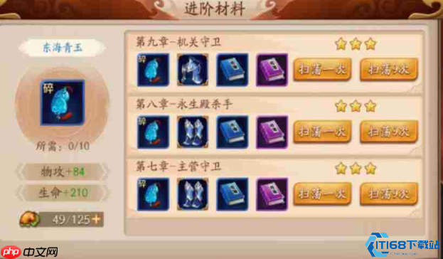 金将升星终极指南:战力飙升的核心秘诀