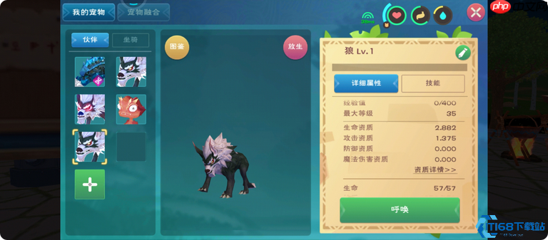 坐骑大师速成班:从骑术入门到跨地形征服指南