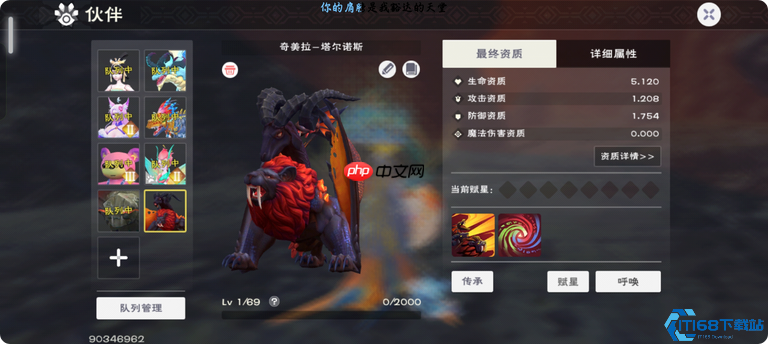 坐骑大师速成班:从骑术入门到跨地形征服指南