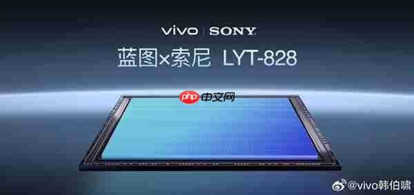 vivo X300 Pro：以双芯协同与蔡司2亿灭霸长焦 提升2025旗舰拍照新标准