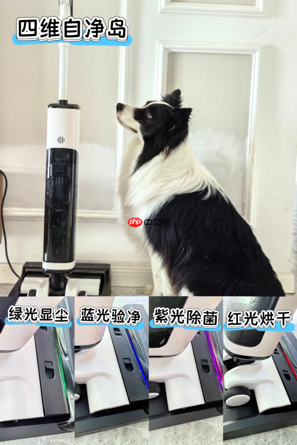 洗地机与吸尘器终极科普：功能、差异与选购全指南