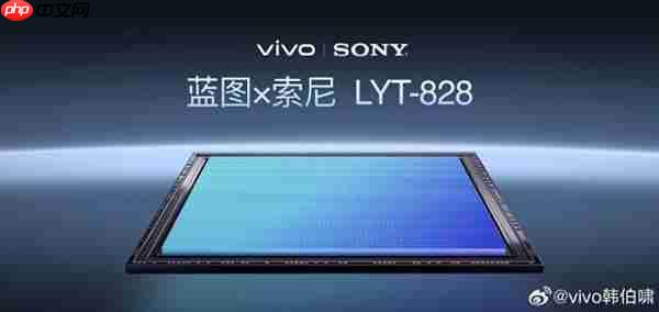 2025“拍照最强”的手机：vivo X300 Pro 2亿像素成旅拍神器